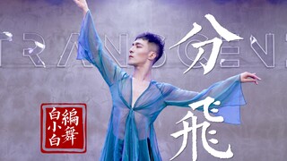 8090的青春在纷飞！徐怀钰《分飞》中国风爵士编舞