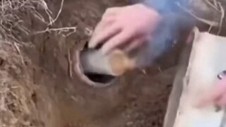 Tôi đã vẽ nó nhưng quên ghi lại. Tôi không biết cách chỉnh sửa nó.