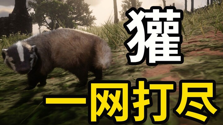 【Red Dead Redemption 2】Hướng dẫn bạn săn bắt lửng Mỹ một cách dễ dàng