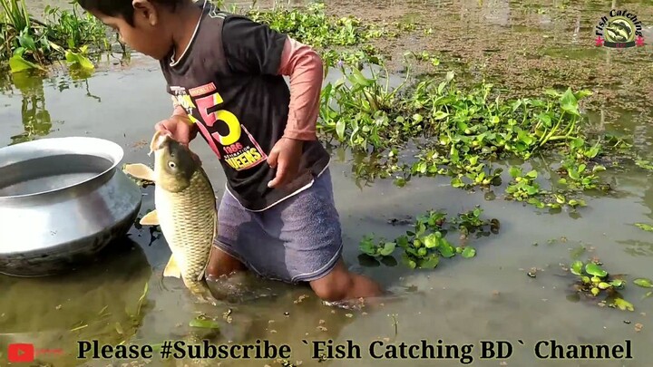 Amazing Hand Fishing Traditional Boy Big Fishing by Hand in the pond