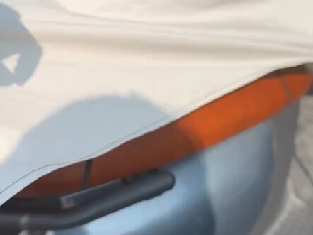 رائحة القطط والبشر مزعجة جدًا