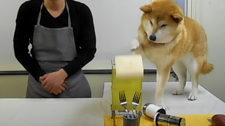 和地狱恶柴一起做饭饭~