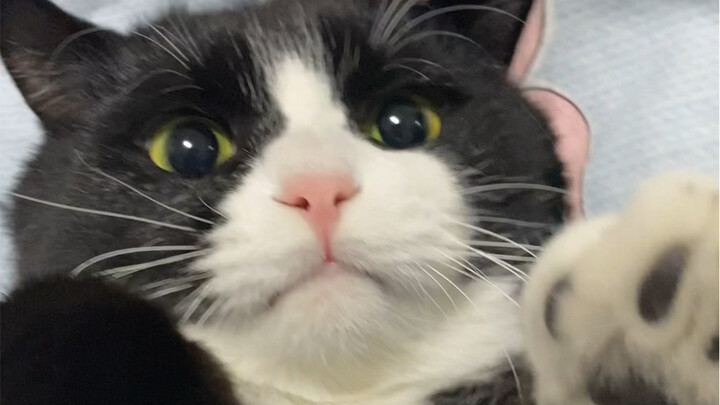 Apa sih yang dia paksakan banget?