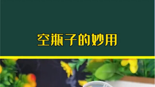 家里的空瓶子不要扔，这样改造变废为宝