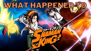WHAT HAPPENED TO SHAMAN KING