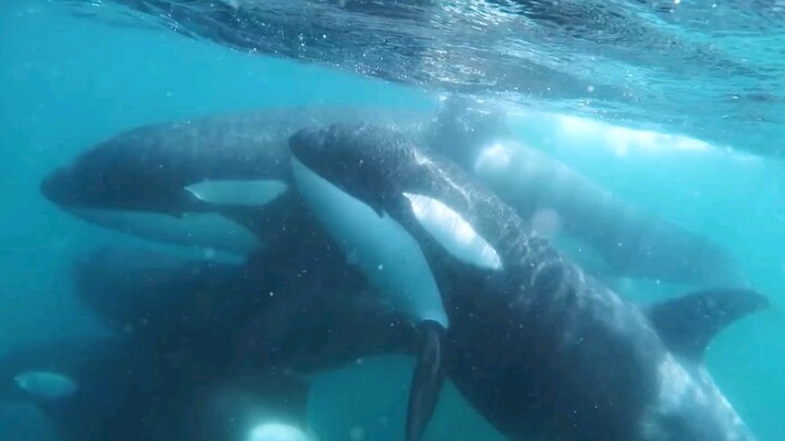 Brothers and sisters, come on over and soak up some vibes!