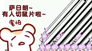 【Bison仓鼠】看一看啦 新鲜的鼠片 那只鼠现在还在蹦跶呢