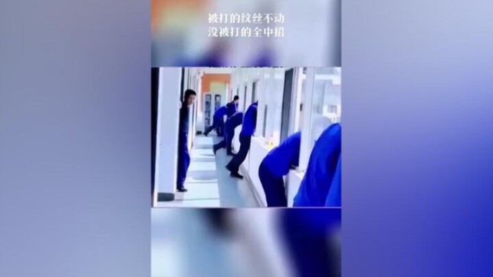 This dog food is so filling I’m gonna eat myself sick!