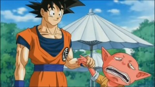 Goku being dumb