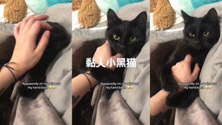 谁叫你把手拿回去啦🥺