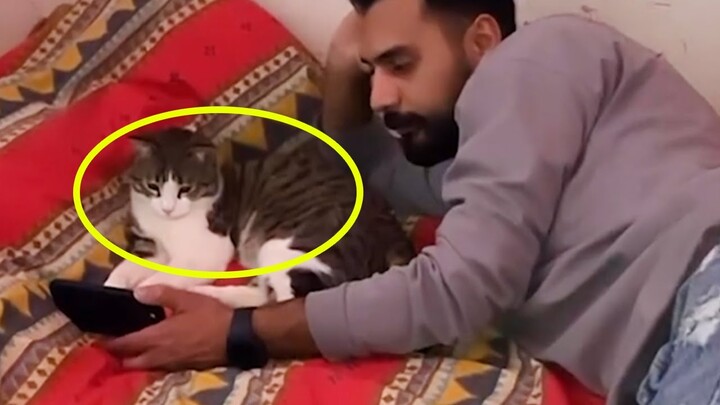 Love at First Meow: When your boyfriend fell for the Cat 😼