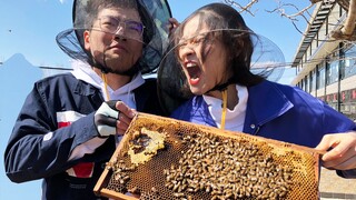 Up worked beekeeping in the mountains for the first time, and unexpectedly was fed by the beekeeper.