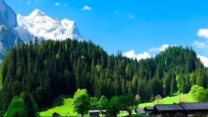 أنشودة هادئة ومريحة للأعصاب مع مناظر طبيعية - Beautiful Islamic Nasheed & Nature
