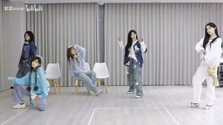 【刘洁】【不如跳5】小刘摄影师PV作品36 不如跳5星球狂欢练习室PV | 由淼×蒋舒婷×张昕×柏欣妤×杨冰怡