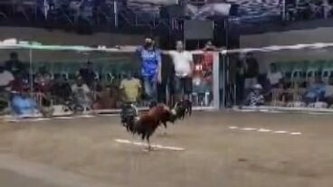 Bruce Barnett Sweater Araw ng Dabaw