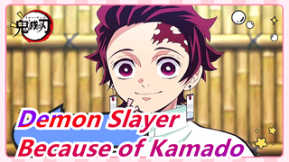 [Demon Slayer] Her Eyes Light For the First Time Because of Kamado's Appearance