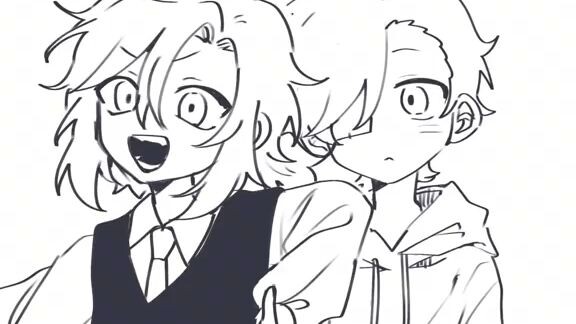 the will of D. 🤣😂