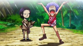 Confirmed that Crocodile is Really Luffy's Transformed Mother!? - One Piece