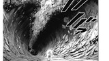 Saitama Vs Tatsumaki "Tornado Of Terror" Full Fight | One Punch Man Manga