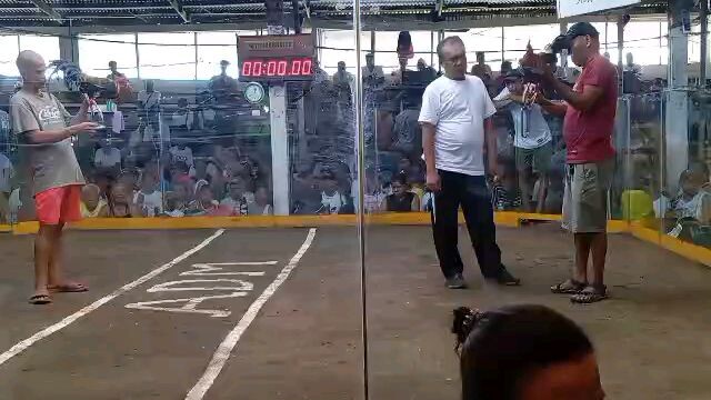 4cock Derby first fight