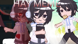 【Gacha Club】HAY - MEME！