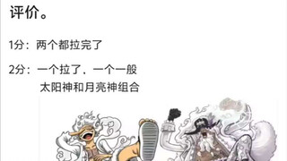 以下海贼王角色组合评价