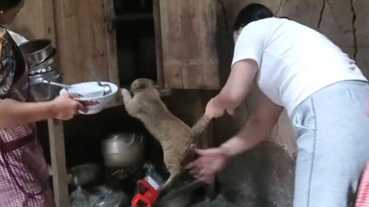 “Video yang dengan keras diminta untuk dihapus oleh pihak terkait”