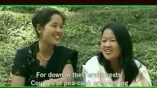 old nepali tamang song - tulsa waiba and indira yonjon