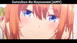 Gotoubun No Hayanome [AMV]  Hay
