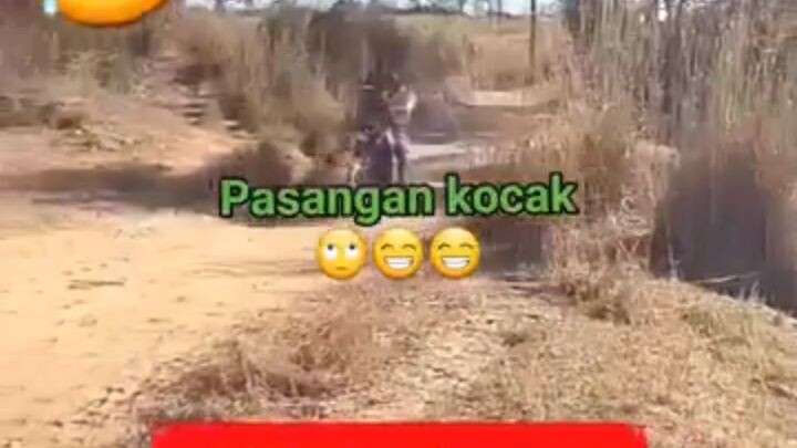 pasangan seribu nyawa