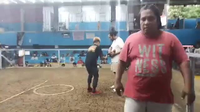rafael 4
