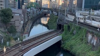 SUZUME Real Life😱