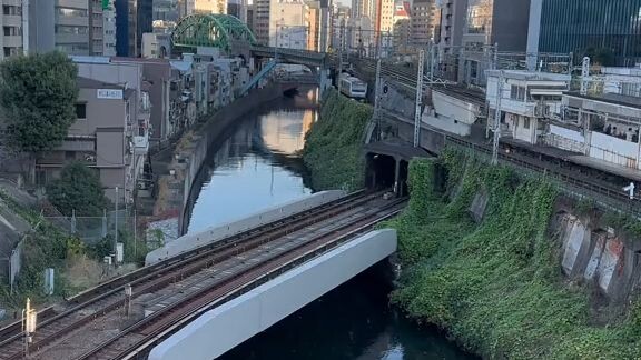 SUZUME sedang gelut sama cacing😱