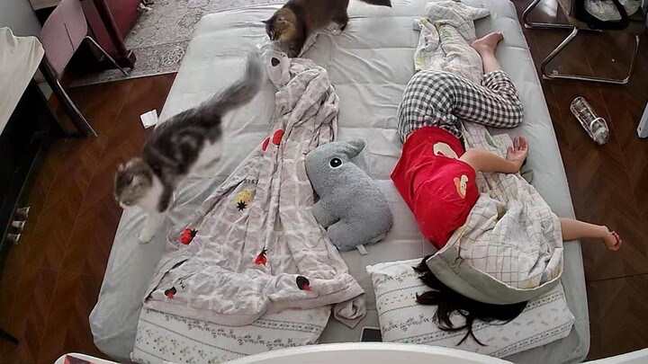 Netizens said that I feel like I live in all corners of the world when I live alone