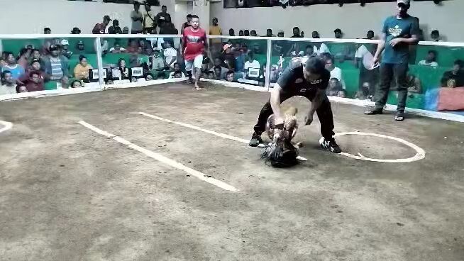 bulik 2 hits champion Nasugbu cockpit
