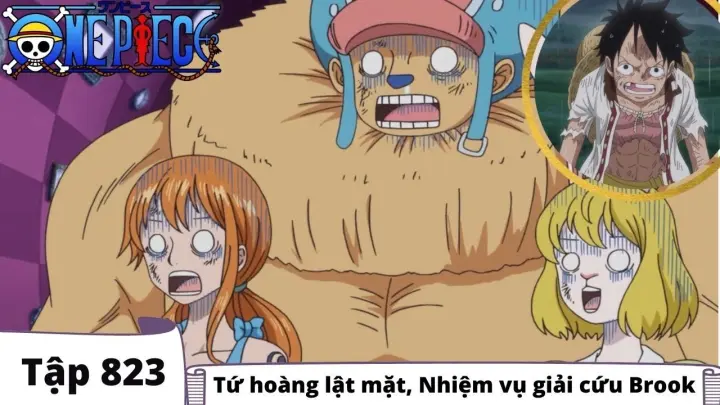 One Piece Tập 8 8 0 Sabo đến Mary Geoise đảo Hải Tặc Tom Tắt Anime Bilibili