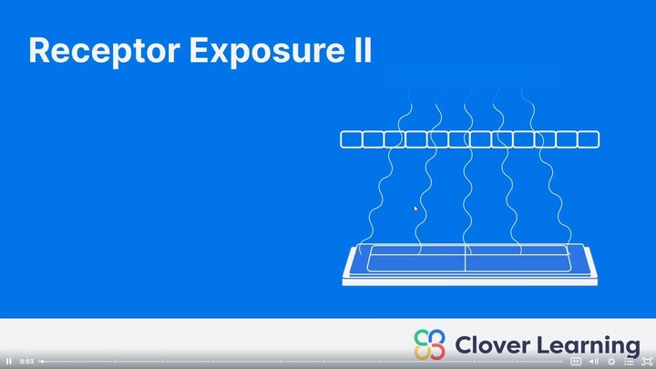 /////////////////////////////////