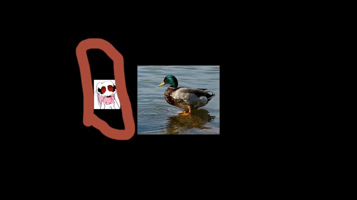 Duck Song