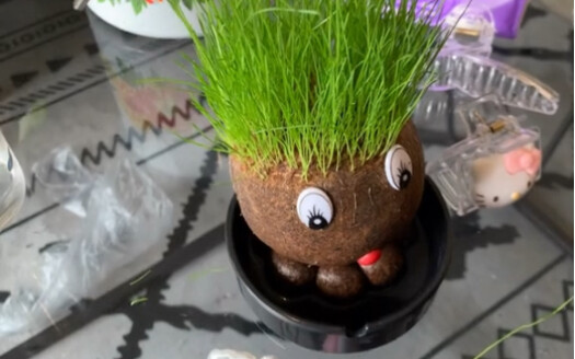 花了一个礼拜的时间，这个丑东西终于有点萌萌了，就叫它丑妞儿吧。