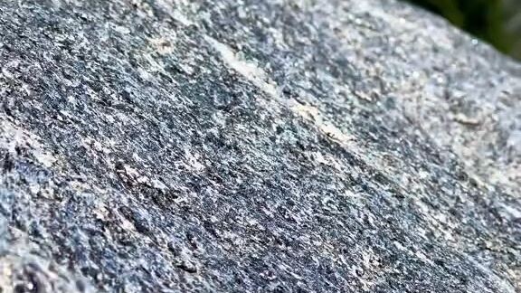 #bilibili#nature#video