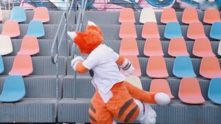 [Fursuit Dance] Đây có phải là con mèo màu cam mới không? Hút nó đi! /Cheesecake Crisis (Rõ ràng là 