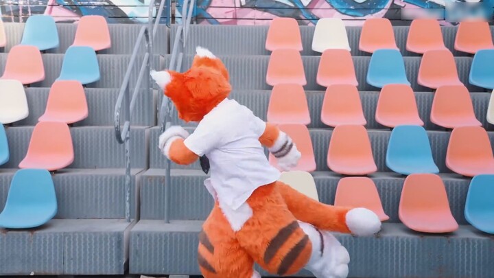 [Fursuit Dance] Is it a new orange cat? Suck it! / Cheesecake Crisis (It's obviously bread...) by Ru
