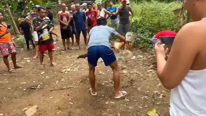 nadulas pako bulik win