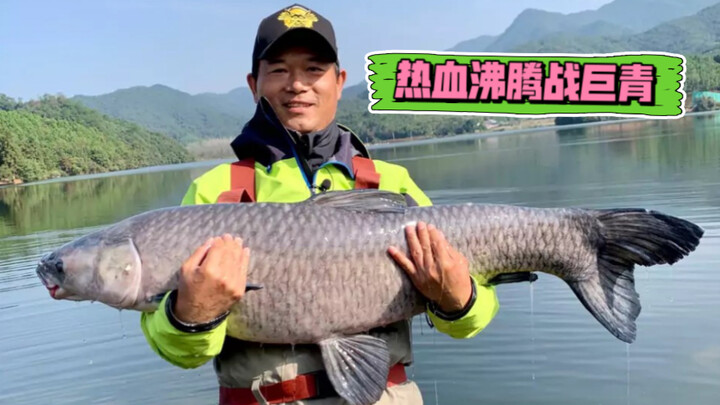 معركة حماسية ضد العملاق الأزرق