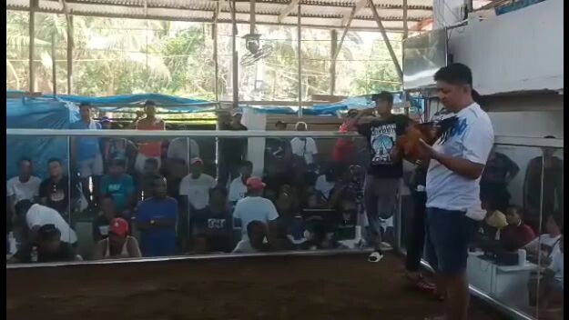 Jabute panget line kalaban may ari ng sabungan