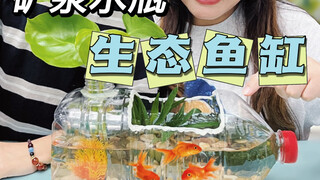 矿泉水瓶居然还能养鱼，教你改造家庭版生态鱼缸…