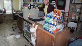 Cat treats please! When my cat loves my neighbor for no reason 😻