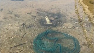 اتضح أنه لا يمكنك أكل اللحوم إلا إذا كنت قاسياً!