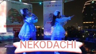 NEKODACHI IDOL GRUP