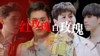 【BKPP】红玫瑰白玫瑰 | 得不到的永远在骚动 被偏爱的都有恃无恐